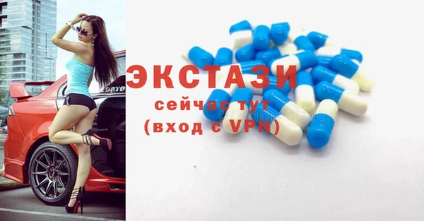 СК Алексин