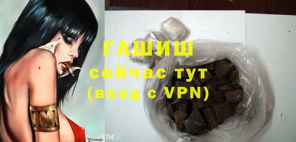 СК Алексин