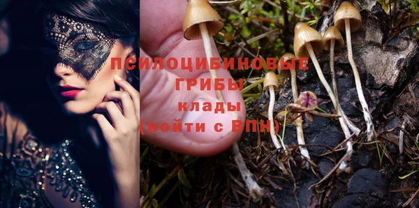 mix Алексеевка