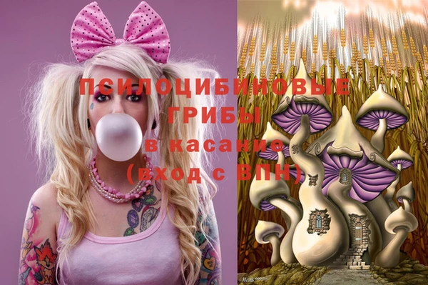 мет Алзамай