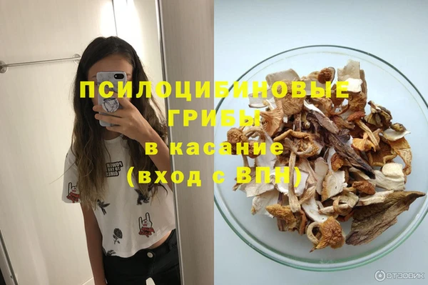 дмт Абаза
